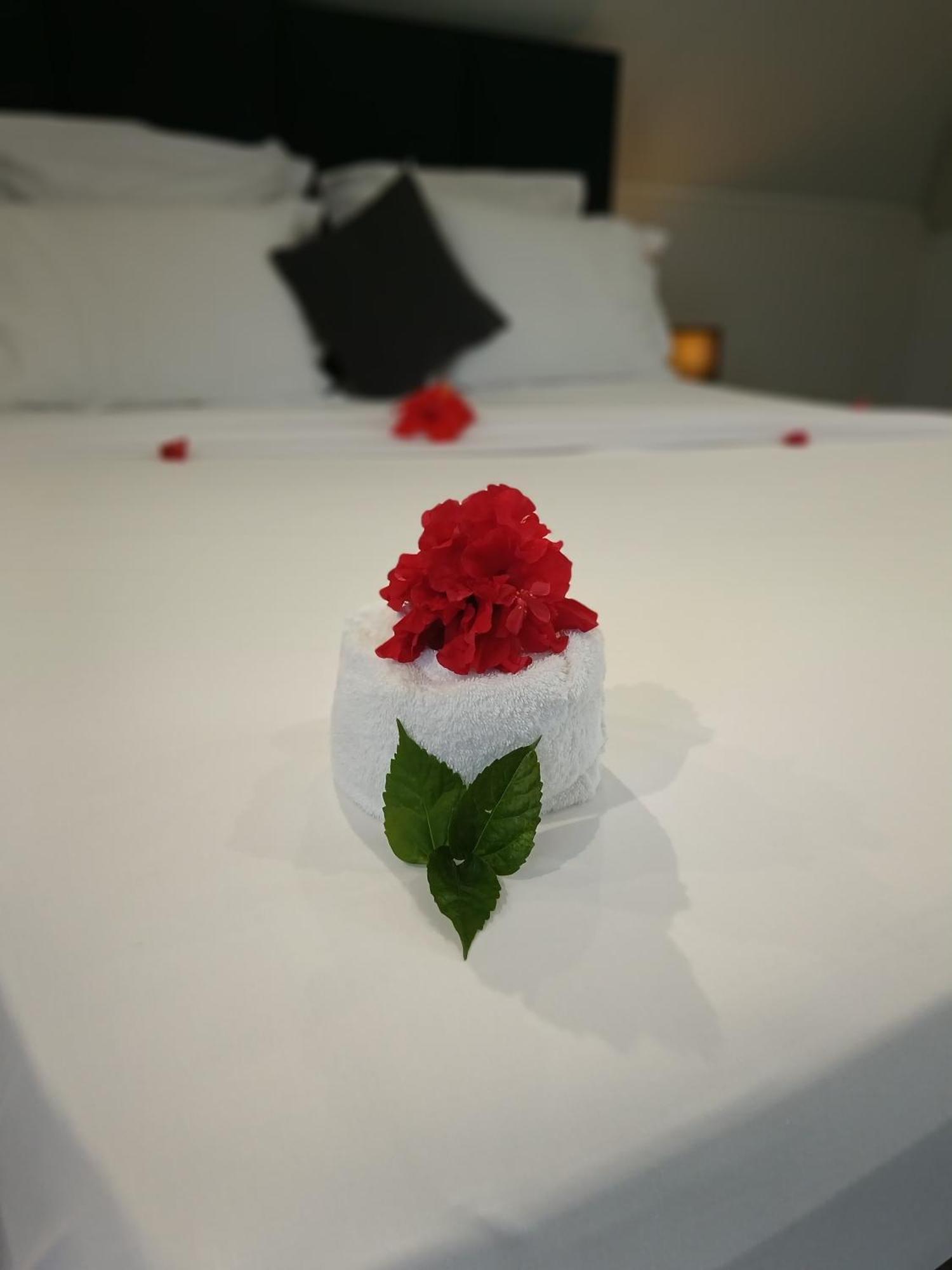 Hotel Village Pomme Cannelle 3 Etoiles Le Precheur Екстериор снимка